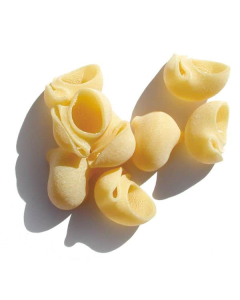 Benedetto Cavalieri Lumache 10/1.1 LB