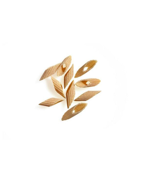 Benedetto Cavalieri Organic Whole Wheat Pennucce